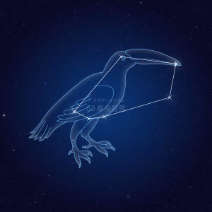 きょしちょう座イラスト