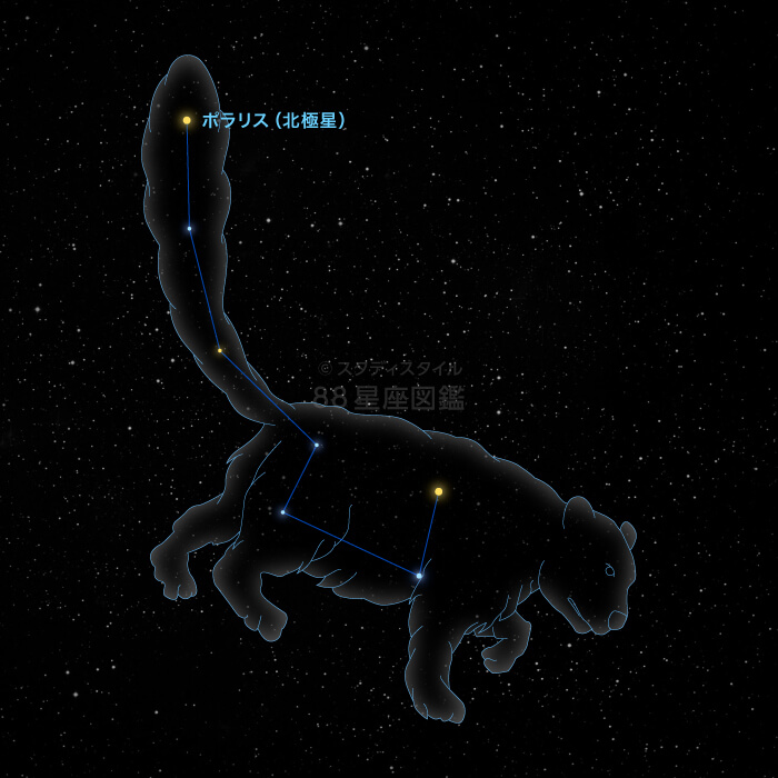 ポラリス（こぐま座α星）｜やさしい88星座図鑑
