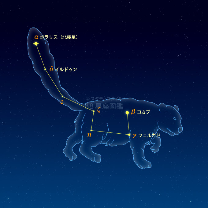 こぐま座イラスト