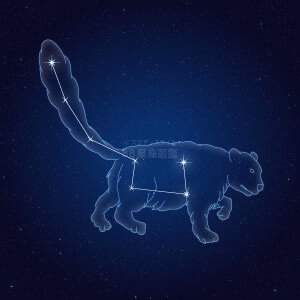 こぐま座イラスト