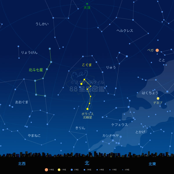 こぐま座の見つけ方（東京の星空）