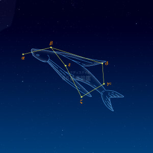 とびうお座イラスト（天体情報入）