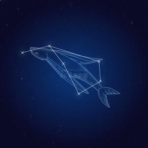 とびうお座イラスト