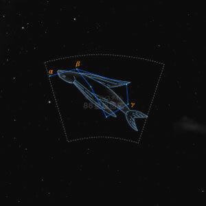 とびうお座イラスト（20時正中時の星空）