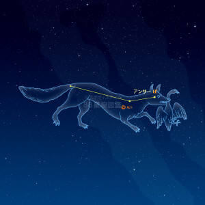 こぎつね座イラスト（天体情報入）