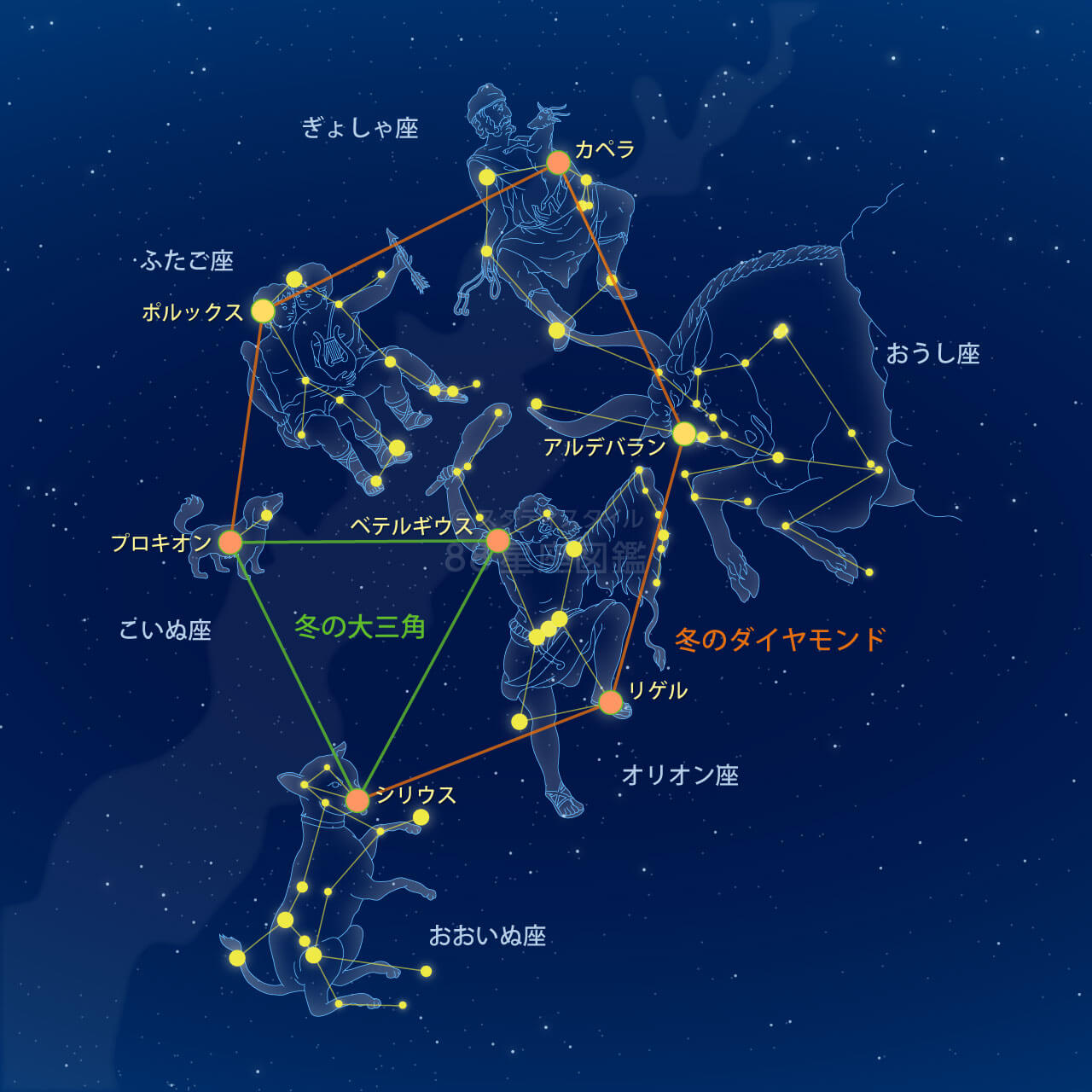 冬の大三角と星座｜88星座図鑑