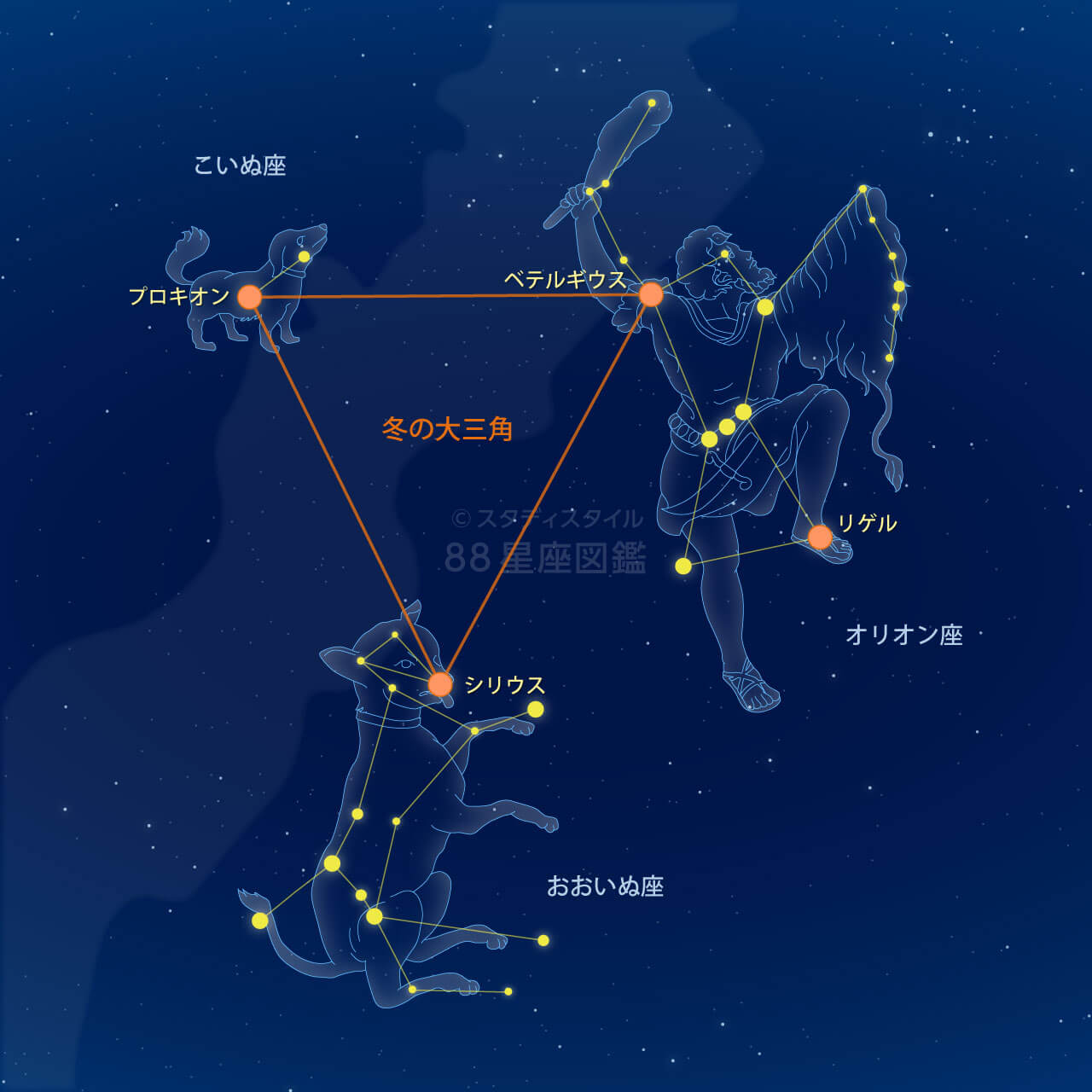 冬の大三角と冬のダイヤモンド 星座図鑑