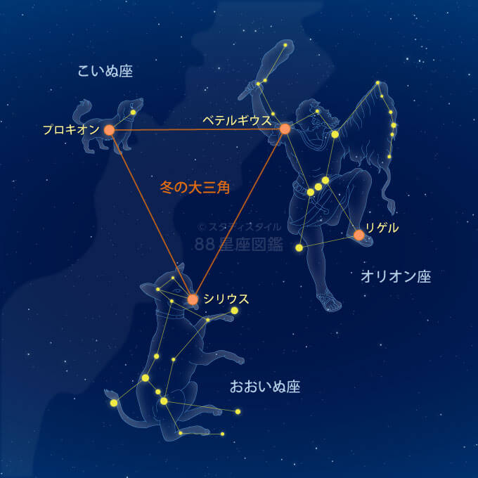 冬の大三角と冬のダイヤモンド 星座図鑑