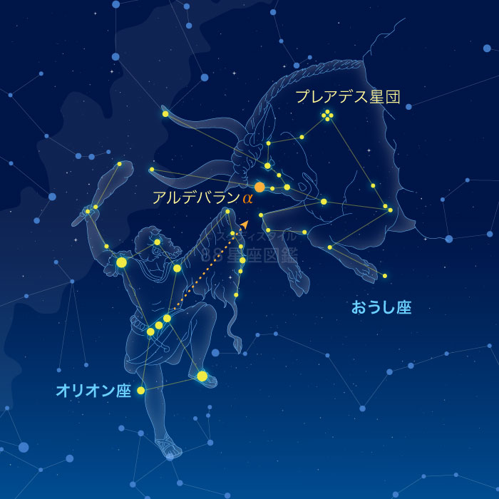 冬の星座の見つけ方 星座図鑑