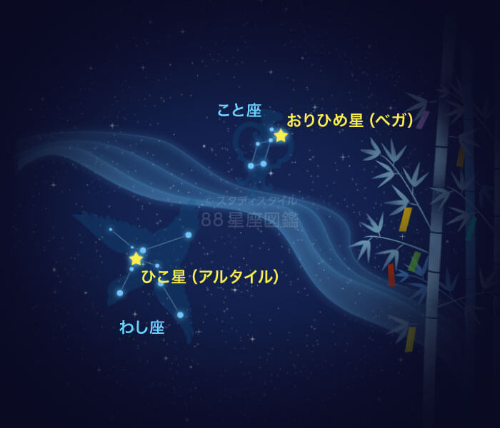 七夕と星座 星座図鑑