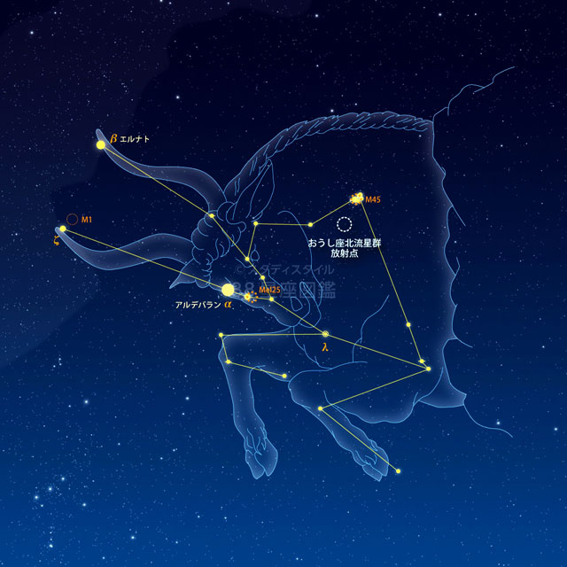 おうし座北流星群