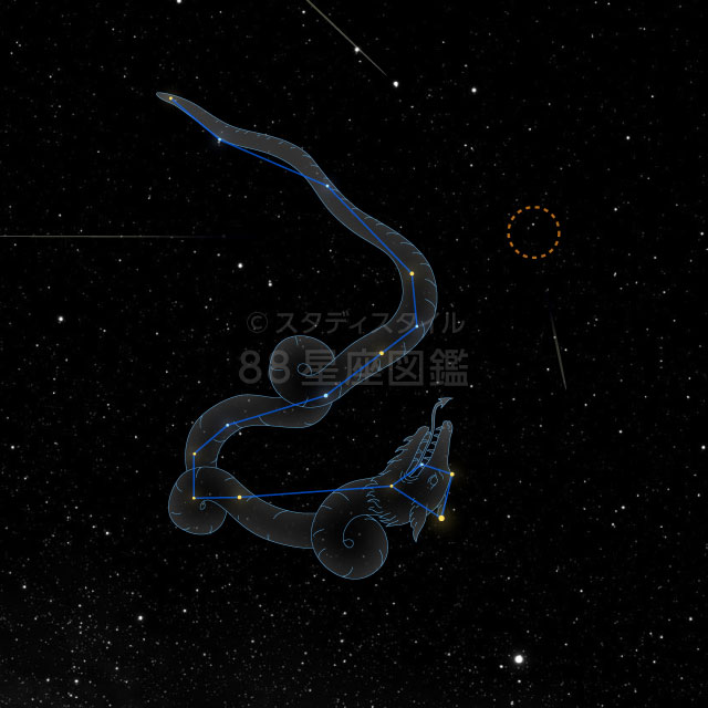 しぶんぎ座流星群 Quadrantids 観測ガイド