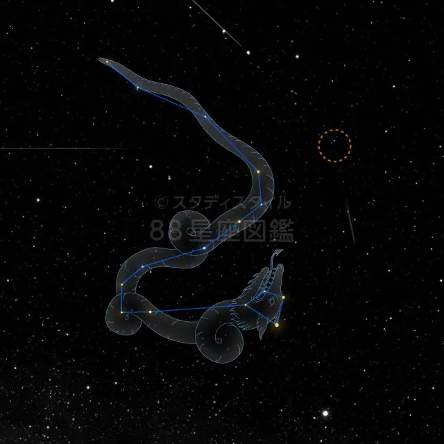 しぶんぎ座流星群 観測ガイド2026年（1月4日極大、方角、見え方）