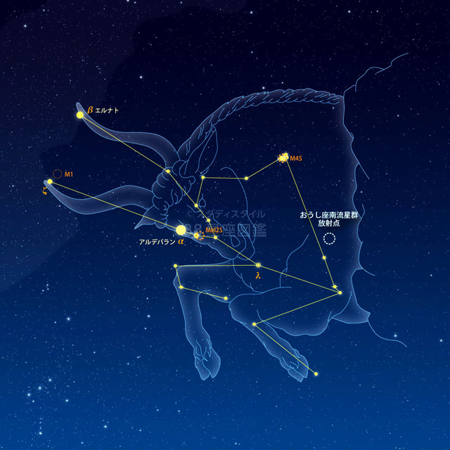 おうし座南流星群