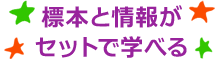 標本と情報がセット